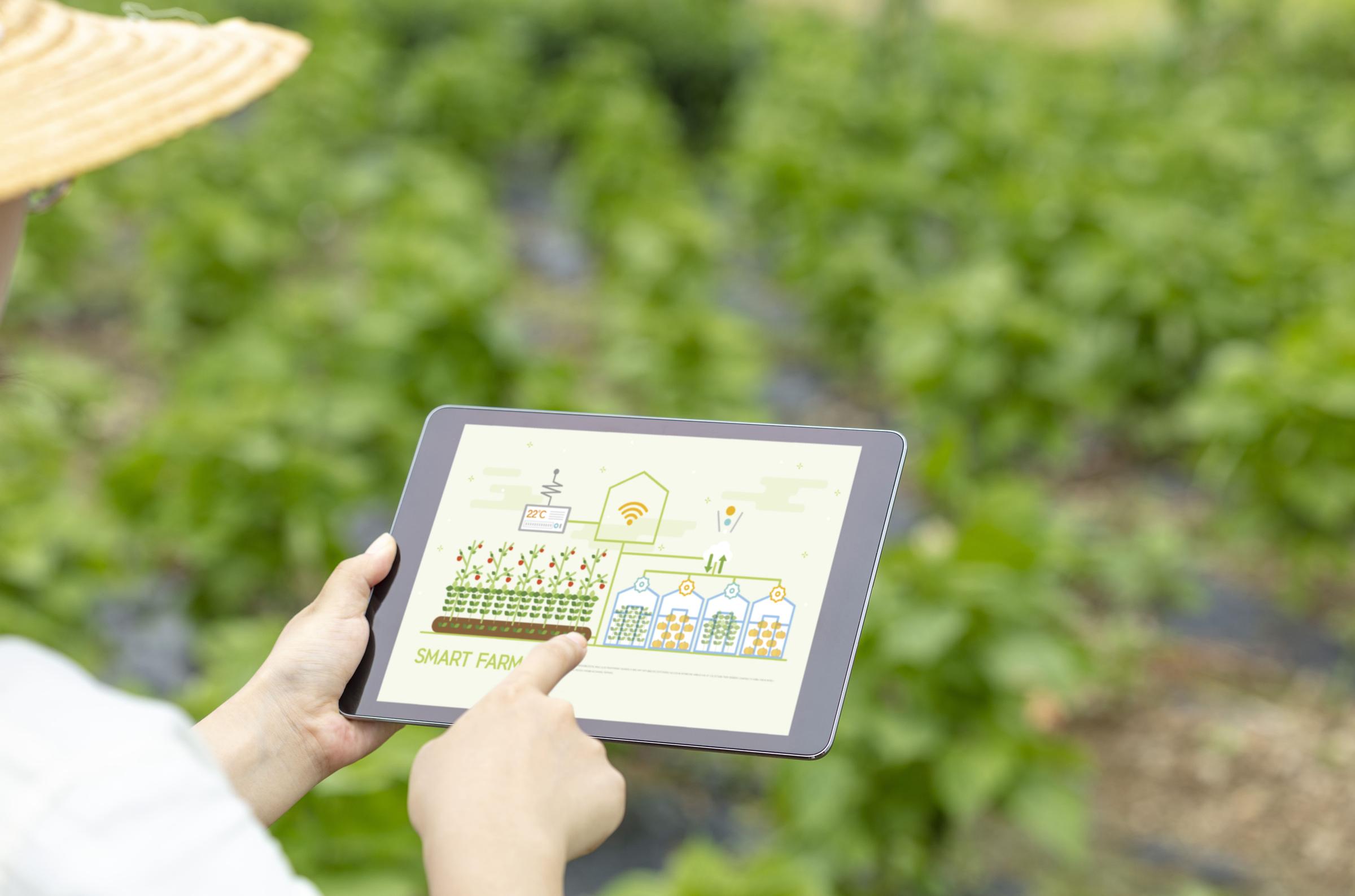 DEPARTMENT OF SMART-FARM