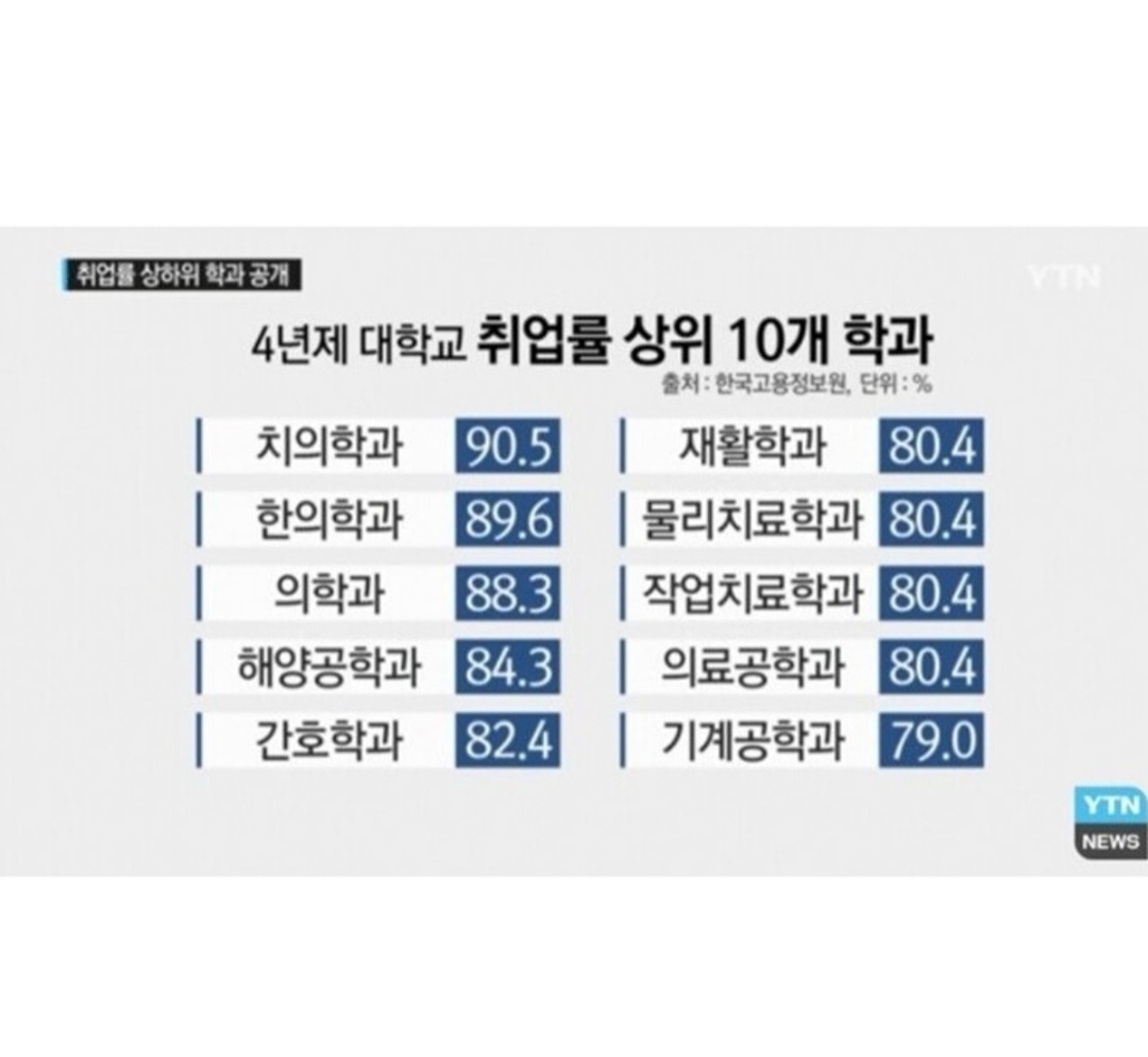 4년제 대학교 취업률 상위 10개 학과_YTN NEWS