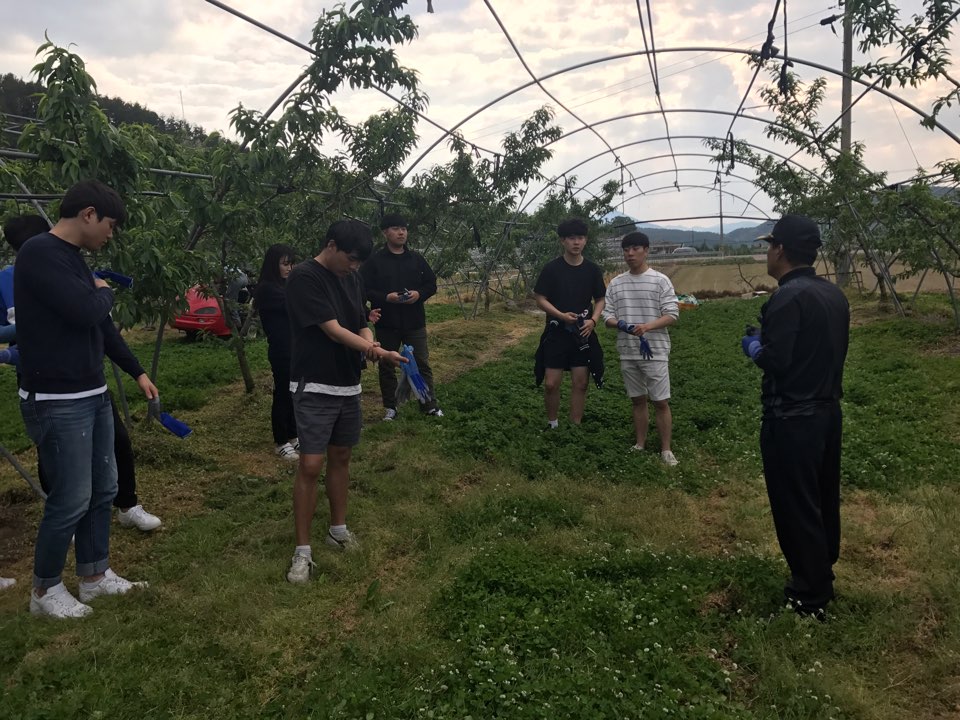 [봉사활동] 외만리 자원봉사활동